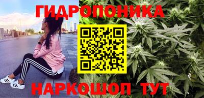 шишки Усть-Илимск