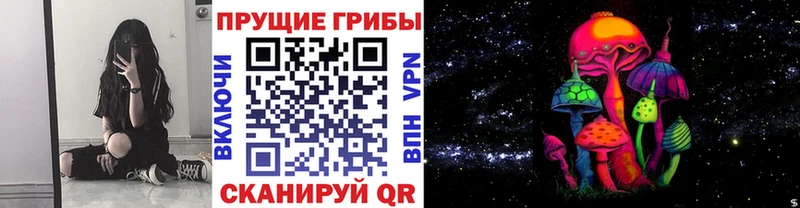 наркошоп  мега ссылки  мориарти официальный сайт  Новозыбков  Псилоцибиновые грибы Psilocybine cubensis 