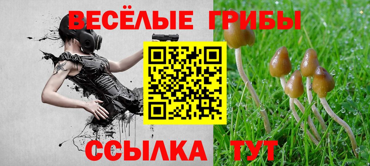 Галлюциногенные грибы Psilocybine cubensis  Псилоцибиновые грибы Cubensis  Вход с VPN  Новозыбков 