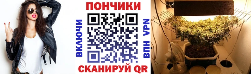 цены наркотик  Новозыбков  ссылка на мегу вход  Бошки Шишки планчик 